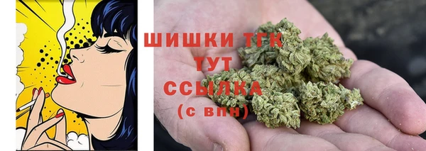молекула духа Дмитровск