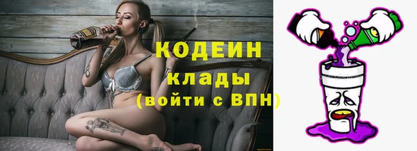 молекула духа Дмитровск