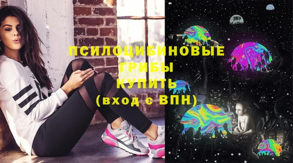 молекула духа Дмитровск
