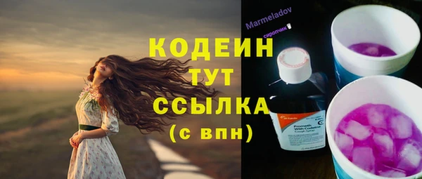молекула духа Дмитровск