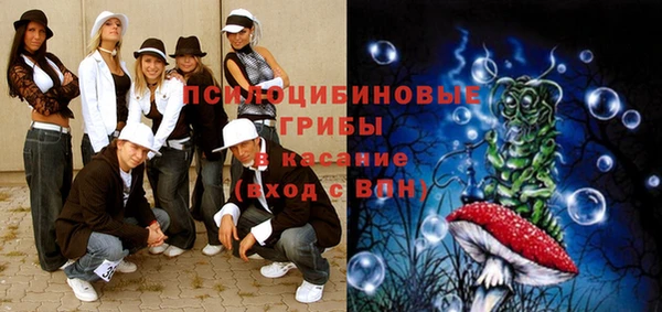 молекула духа Дмитровск