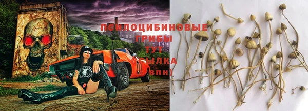 СК Дмитров
